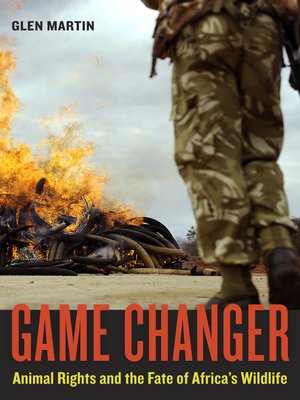 Game Changer - ebook